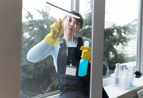 Nettoyage de vitres intérieures et extérieures à Ampuis